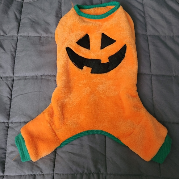 Pumpkin Costume - Picture 5 of 5